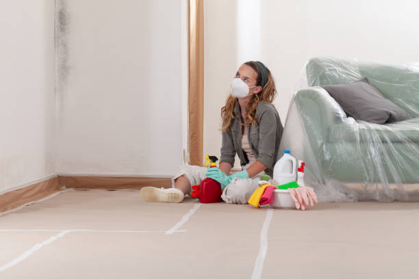 Reliable Commercial Mold Remediation contractor in Florence, CO by Mold Remediation HQ
